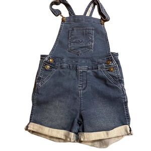 Hudson shorts overall